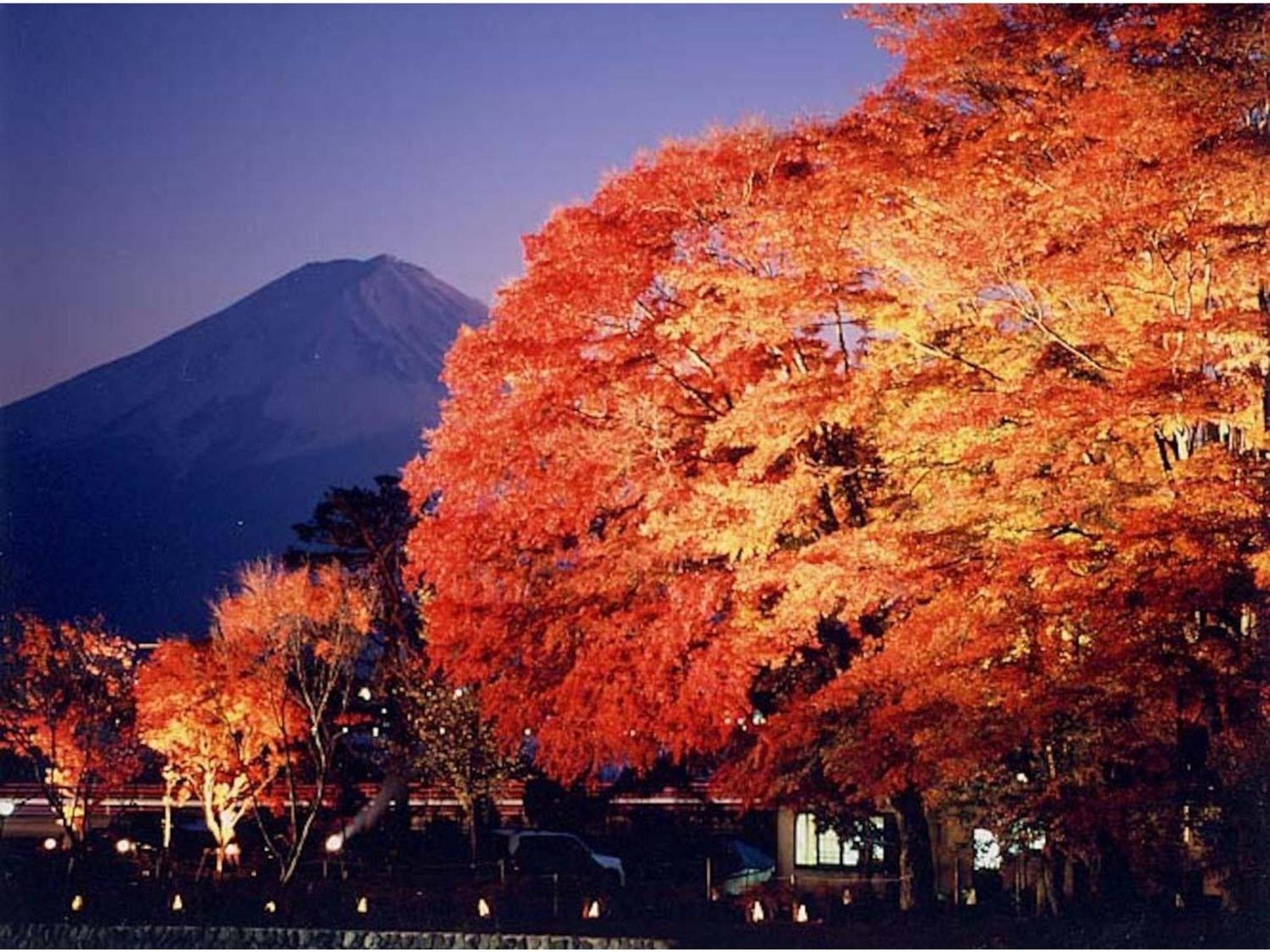 Fujisan Resort Hotel - Vacation Stay 57971V Fujikawaguchiko Eksteriør billede